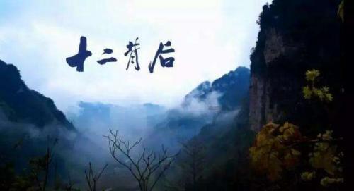 救援卷耳兔