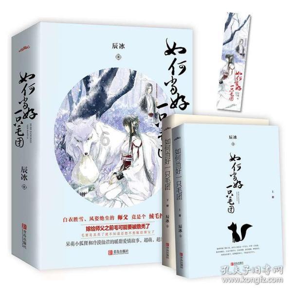 鲁媒:泰山亚冠票价最高1000元,新援泽卡受伤对球队影响很大