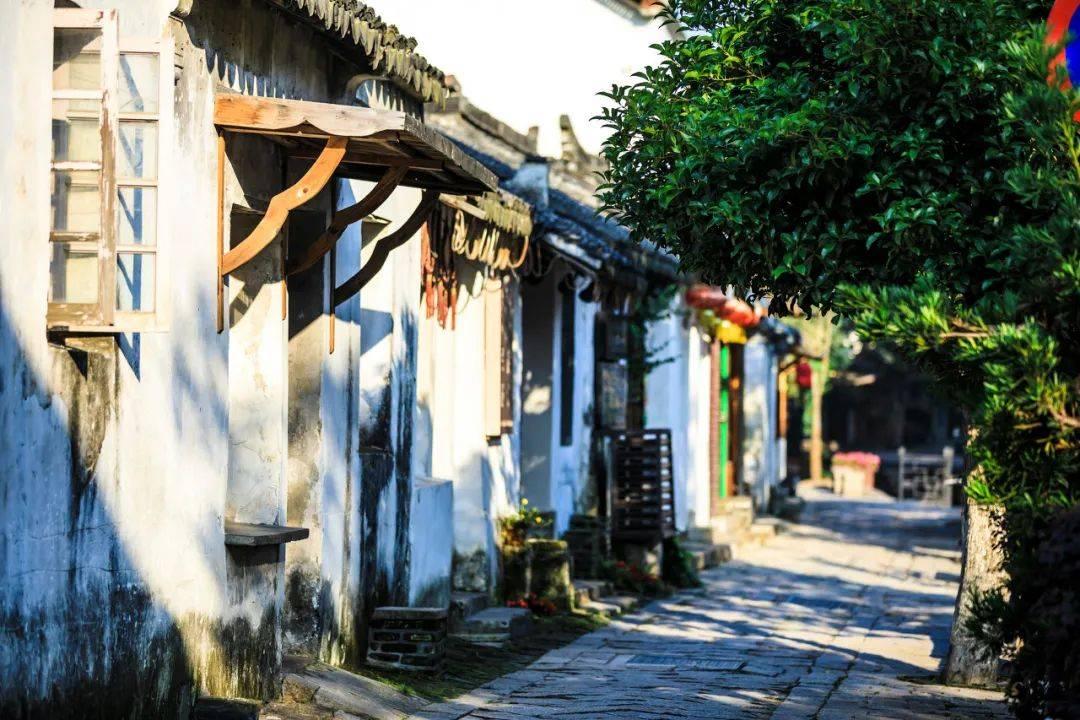 民国四大才女之一吕碧城：看似孤高傲慢，实则人间清醒
