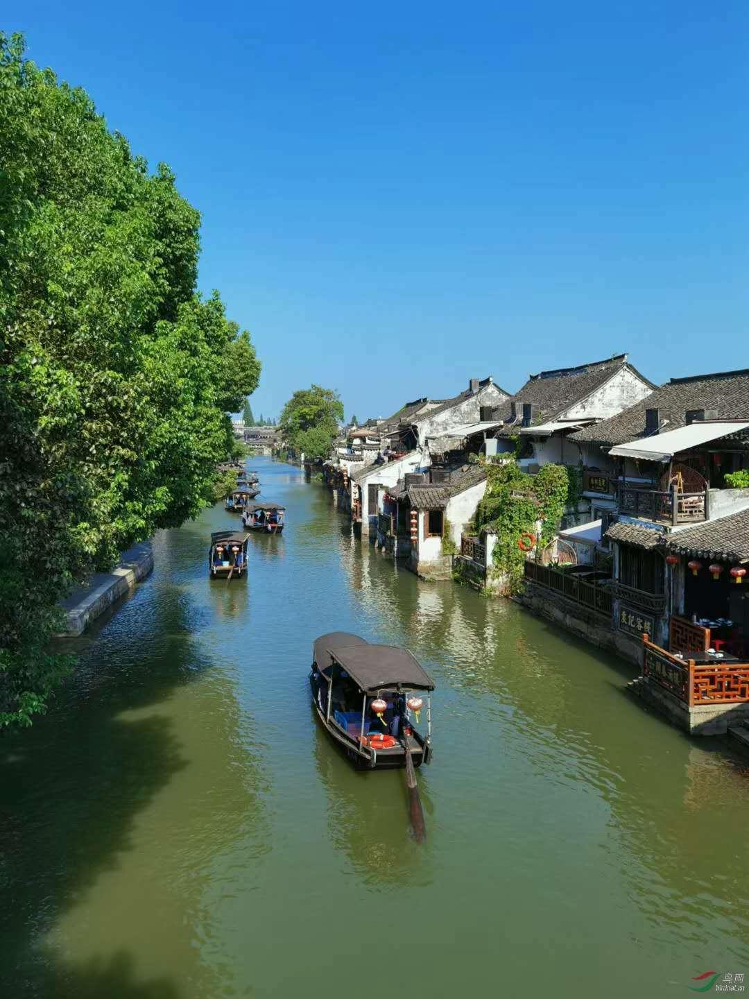 逃出小象森林